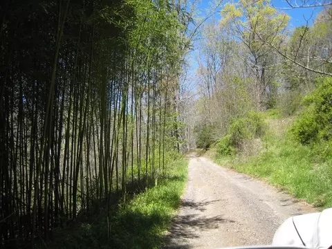 172 Singing Ridge Rd, Sylva, NC 28779 photo 4
