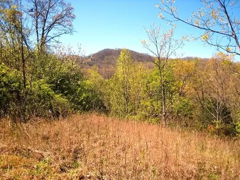 172 Singing Ridge Rd, Sylva, NC 28779 photo 38
