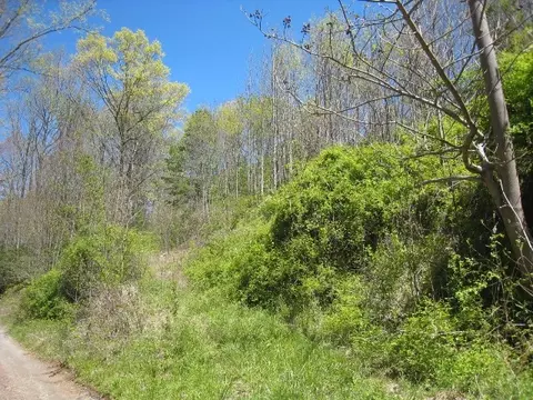 172 Singing Ridge Rd, Sylva, NC 28779 photo 37