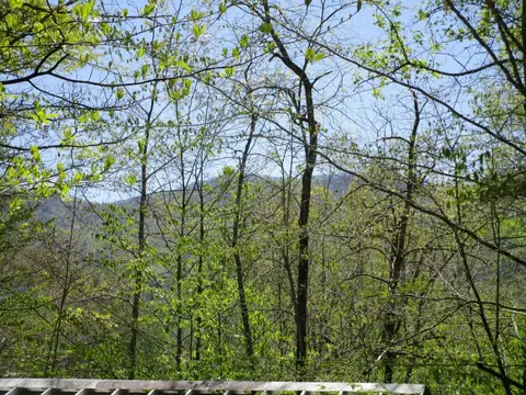 64 Crest Hill Ct, Franklin, NC 28734 photo 27