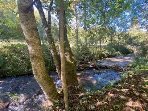 35 Stony Brk, Sylva, NC 28779 photo 26