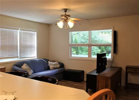 315 Randall Dr, Warne, NC 28909 photo 15