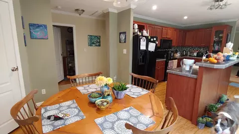 347 Dills Hills Rd, Sylva, NC 28779 photo 14
