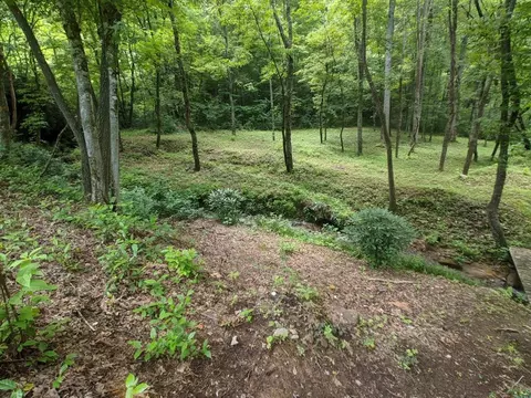 898 Tunnel Mtn, Sylva, NC 28779 photo 19
