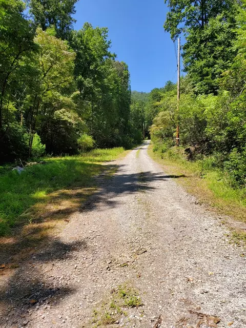 135 Grady Loop, Otto, NC 28763 photo 29