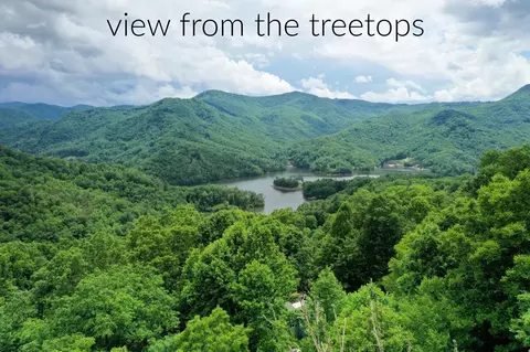 00 Bear Ridge Rd, Tuckasegee, NC 28783
