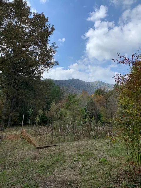 66 Pacific Rd, Sylva, NC 28779 photo 23
