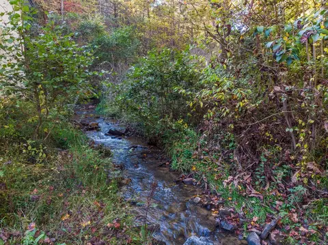 173 Old Grasshopper Rd, Sylva, NC 28779 photo 35