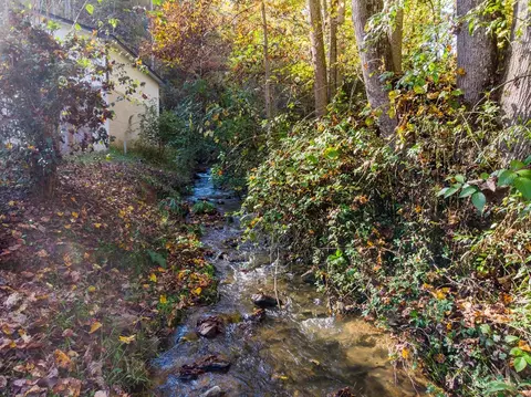 173 Old Grasshopper Rd, Sylva, NC 28779 photo 36