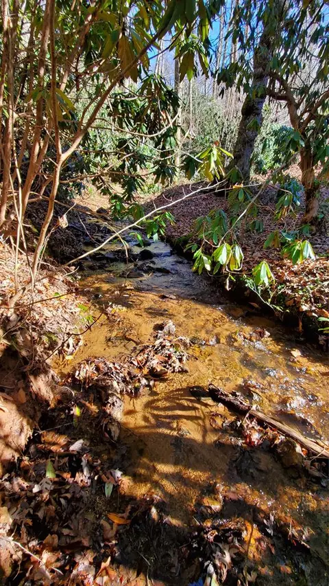 4 Ripple Run, Sylva, NC 28779 photo 8
