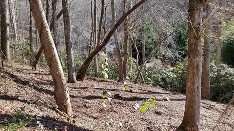 4 Ripple Run, Sylva, NC 28779 photo 7