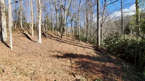 4 Ripple Run, Sylva, NC 28779 photo 2