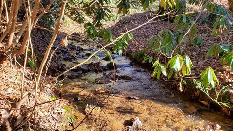 4 Ripple Run, Sylva, NC 28779 photo 4