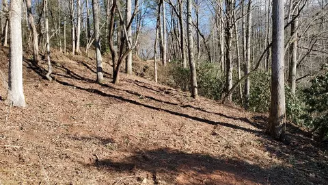 4 Ripple Run, Sylva, NC 28779 photo 5