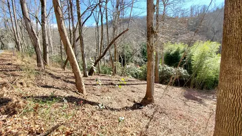 4 Ripple Run, Sylva, NC 28779 photo 6