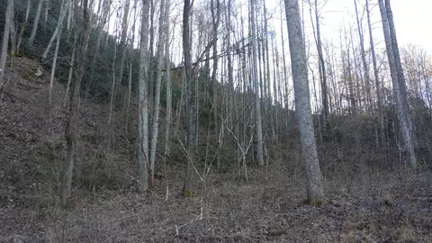 lot16 Red Hawk Blf, Dillsboro, NC 28725