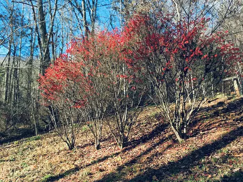 42 Long Meadow Dr, Cullowhee, NC 28723 photo 32