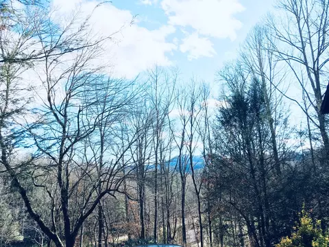 42 Long Meadow Dr, Cullowhee, NC 28723 photo 34