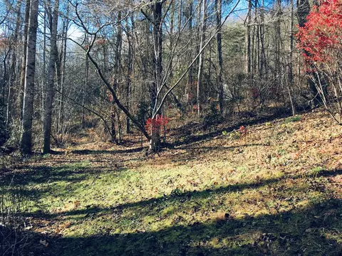 42 Long Meadow Dr, Cullowhee, NC 28723 photo 31