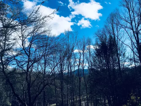 42 Long Meadow Dr, Cullowhee, NC 28723 photo 5