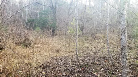 3652 Caney Fork Rd, Cullowhee, NC 28723 photo 10