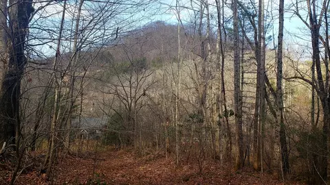 3652 Caney Fork Rd, Cullowhee, NC 28723 photo 14