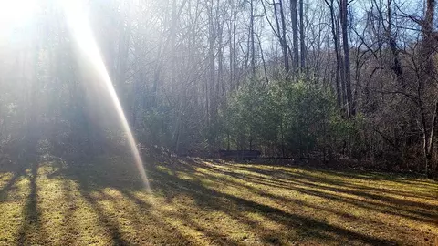 3652 Caney Fork Rd, Cullowhee, NC 28723 photo 7