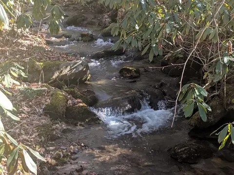 6 Hickory Knoll Ridge Road, Franklin, NC 28734