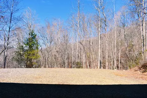 32 Stumpy Oak, Sylva, NC 28779 photo 10