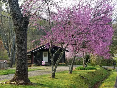 40 Wind Crest Rdg, Sylva, NC 28779 photo 69