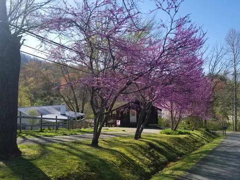 40 Wind Crest Rdg, Sylva, NC 28779 photo 70