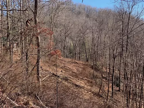00 Parris Branch Rd, Sylva, NC 28779