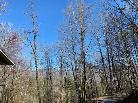 360 Slim Dillard Rd, Sylva, NC 28779 photo 6