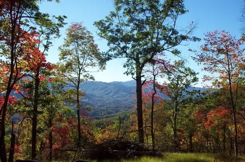 46 Mountain Heritage Drive, Dillsboro, NC 28779