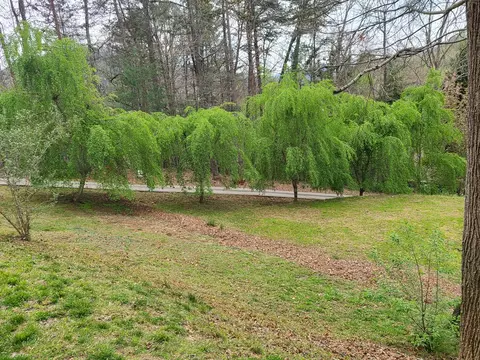 240 Dills Hills Rd, Dillsboro, NC 28725 photo 12