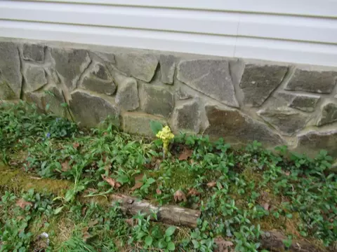 559 Benjamin Dr, Franklin, NC 28734 photo 33