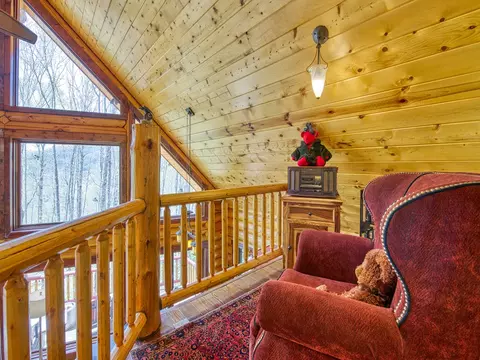 110 Dolan Ln, Clyde, NC 28721 photo 15