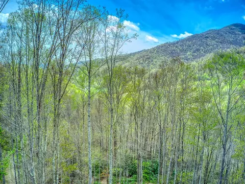 110 Dolan Ln, Clyde, NC 28721 photo 32