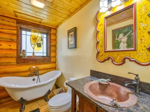 110 Dolan Ln, Clyde, NC 28721 photo 22