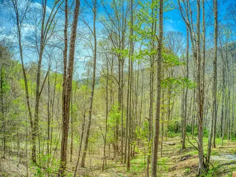 110 Dolan Ln, Clyde, NC 28721 photo 31