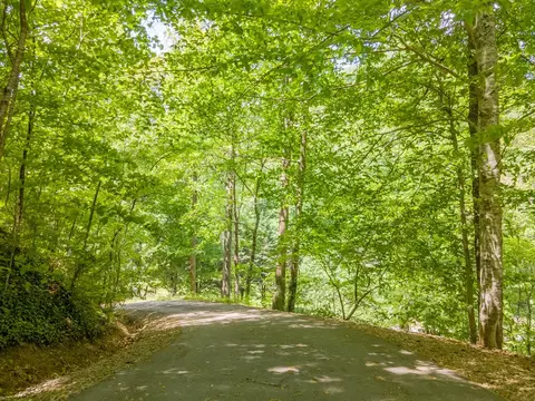 64 Perry Rd, Franklin, NC 28734 photo 42