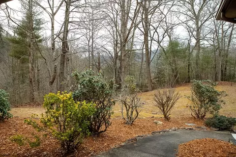 641 E Fork Rd, Sylva, NC 28779 photo 3