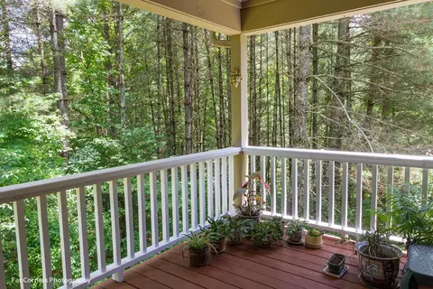 131 Yuletide Ln, Sylva, NC 28779 photo 23