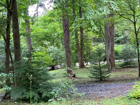 46 Durango Pl, Sylva, NC 28779 photo 3