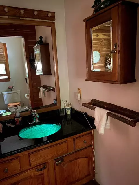 46 Durango Pl, Sylva, NC 28779 photo 17