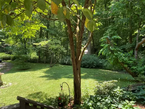 46 Durango Pl, Sylva, NC 28779 photo 38