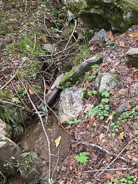 46 Durango Pl, Sylva, NC 28779 photo 43