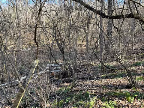 100 Caney Fork Rd, Cullowhee, NC 28723 photo 6