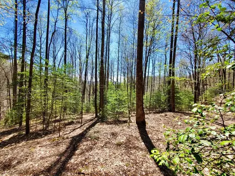 9 Hemlock Falls Drive, Sylva, NC 28779 photo 1