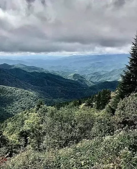 173 Green Cove Dr, Maggie Valley, NC 28751